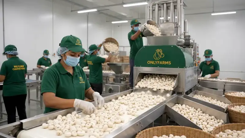 cleaning-of-makhana-seeds