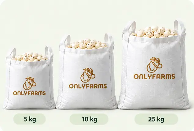 packaging 2 1